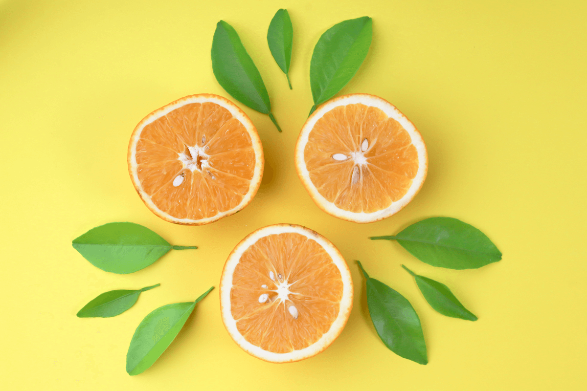 Observations and Orange Slices